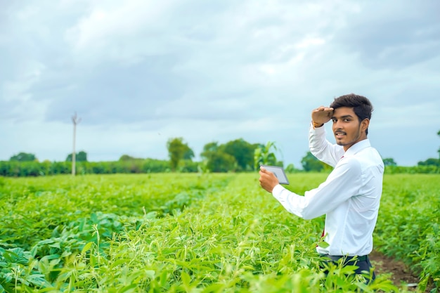 Agrónomo en campo de algodón con smartphone