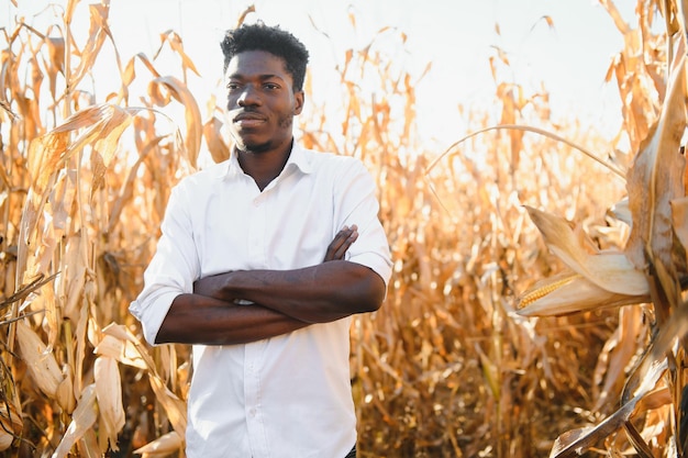 Agrónomo en el campo de maíz y examinando cultivos antes de cosechar. Concepto de agroindustria. Granja brasileña.