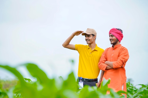 Agrônomo indiano com fazendeiro no campo de agricultura verde.