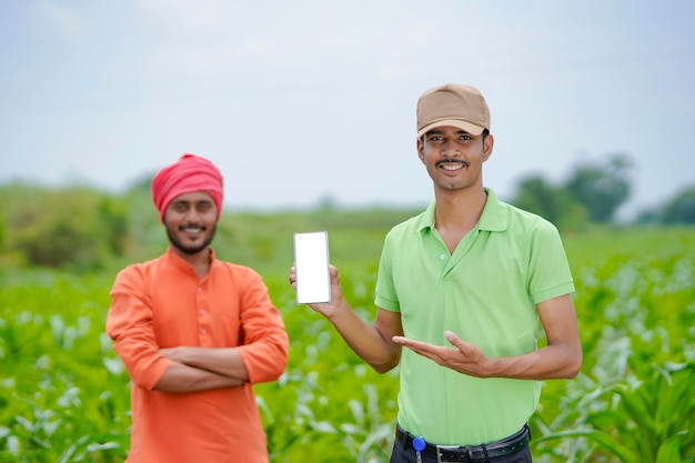 Agrônomo indiano mostrando smartphone com agricultor no campo de agricultura.