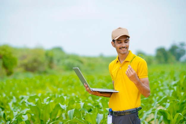 Agrônomo indiano ou banqueiro usando laptop no campo de agricultura.