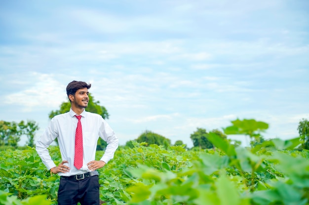 Agrónomo indio en el campo de algodón