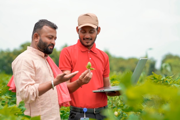 Agrónomo indio joven que muestra información al agricultor en la computadora portátil en el campo de la agricultura verde.