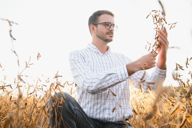 Agrónomo inspecciona el cultivo de soja en el campo agrícola Granjero de concepto agrícola en la plantación de soja en la granja