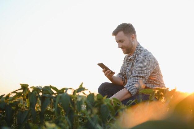 Agrónomo inspeccionando cultivos de soja que crecen en el campo agrícola Concepto de producción agrícola joven agrónomo examina el cultivo de soja en el campo en verano Agricultor en campo de soja