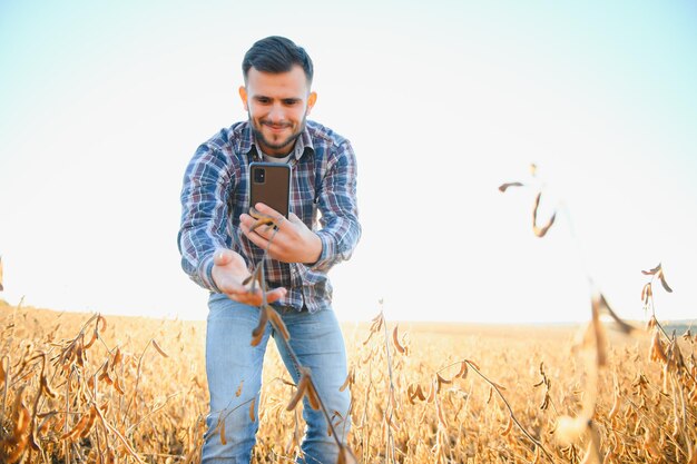 Agrónomo inspeccionando cultivos de soja que crecen en el campo agrícola Concepto de producción agrícola joven agrónomo examina el cultivo de soja en el campo en verano Agricultor en campo de soja