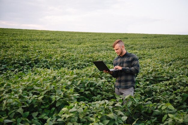 Agrônomo inspecionando safras de soja em cultivo no campo. Conceito de produção agrícola. jovem agrônomo examina a safra de soja no campo no verão. Fazendeiro em campo de soja