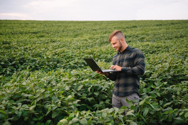 Agrônomo inspecionando safras de soja em cultivo no campo. Conceito de produção agrícola. jovem agrônomo examina a safra de soja no campo no verão. Fazendeiro em campo de soja