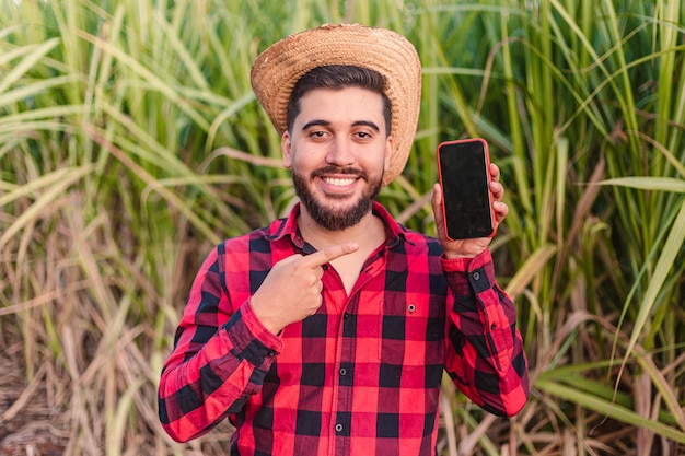 Agrônomo jovem trabalhador agrícola mostrando aplicativos agrícolas de tela de celular digitalizando com plantação de cana-de-açúcar em segundo plano