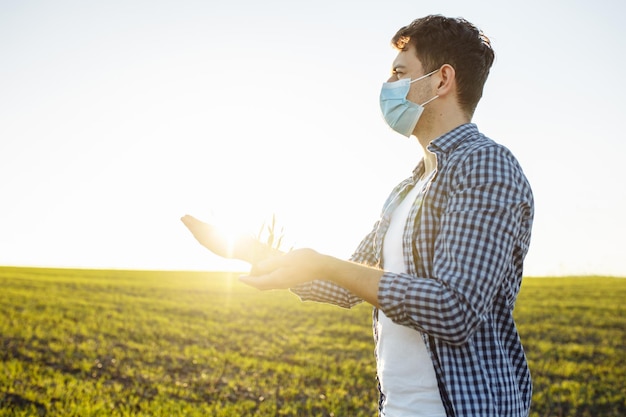 Foto el agrónomo con máscara médica comprueba la calidad de la cosecha sosteniendo el brote de trigo verde joven en su mano al atardecer. agricultor trabajando durante la pandemia del coronavirus en primavera. concepto de agricultura y salud.