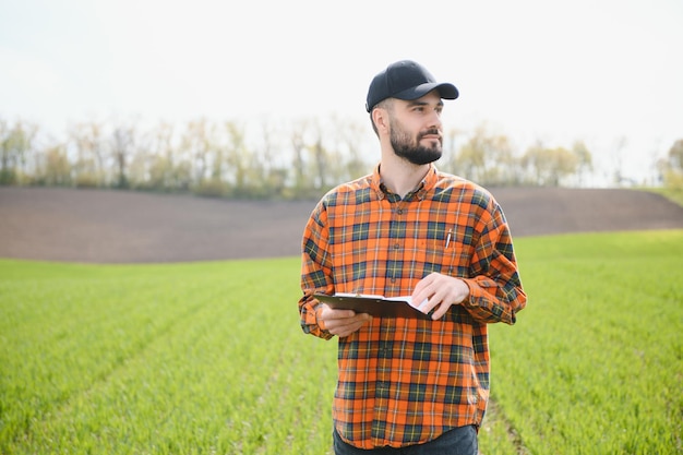 agrónomo masculino en un campo agrícola verde de trigo