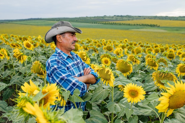 Agrônomo masculino preocupado em pé no campo cultivado de girassol e olhando para um belo pôr do sol no horizonte