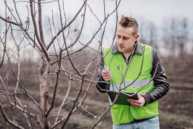 Agrónomo o agricultor examinar árboles en huerto