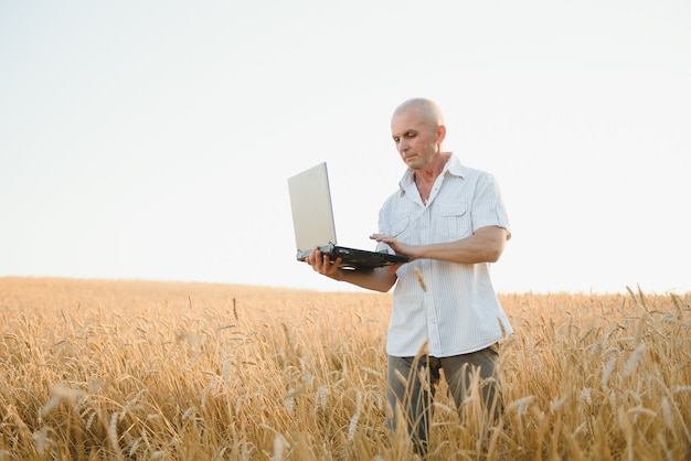 Agrónomo o agricultor usando una computadora portátil mientras inspecciona el campo de trigo orgánico