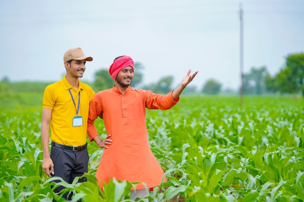 Agrónomo o banquero indio con el agricultor en el campo de la agricultura verde.