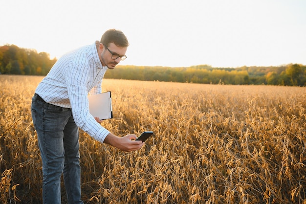 Agrônomo ou agricultor examinando safra de campo de soja