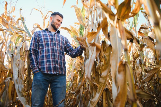 Agrónomo revisando el maíz si está listo para la cosecha Retrato de granjero