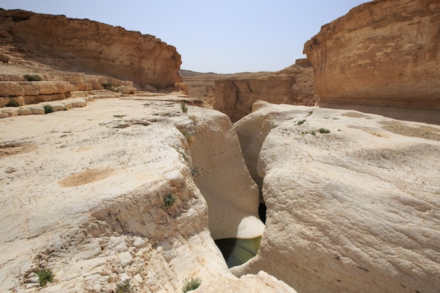 Agua acumulada en el corte de roca del desierto de Judea. Israel