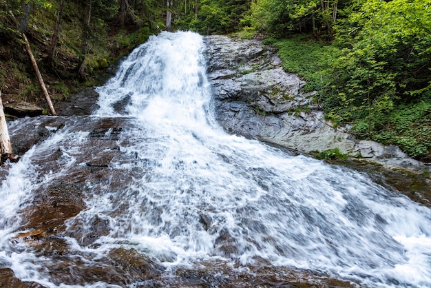 El agua de un arroyo corre entre piedras en un bosque