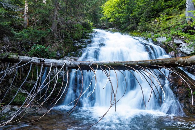 El agua del arroyo corre entre piedras y corre bajo un tronco en un bosque