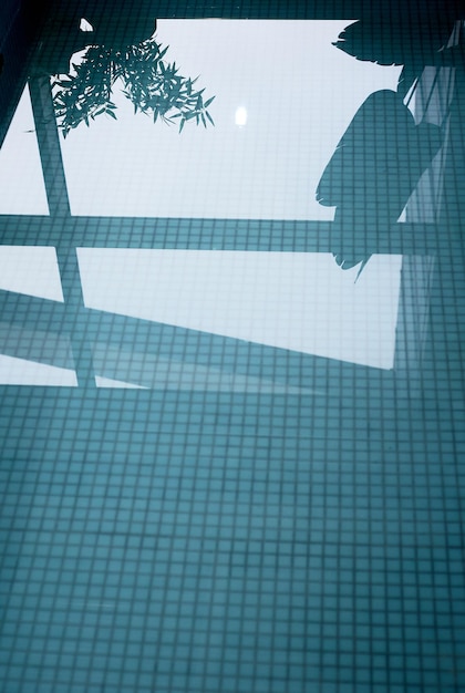 Agua azul en la piscina con mosaicos Reflejo de flores en el agua