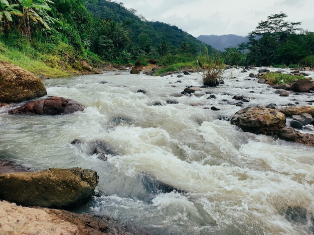 agua azul verde entre el bosque y la costa rocosa