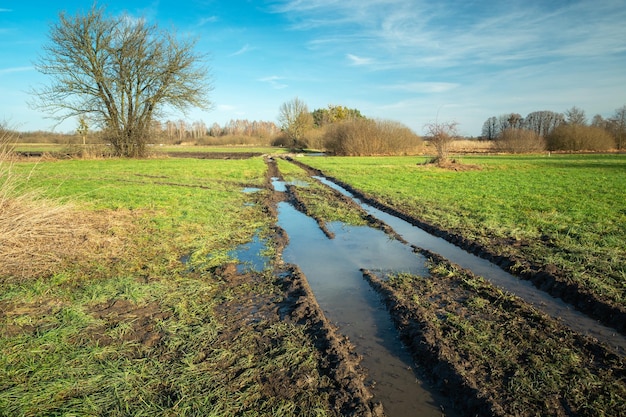 Agua en un camino de tierra