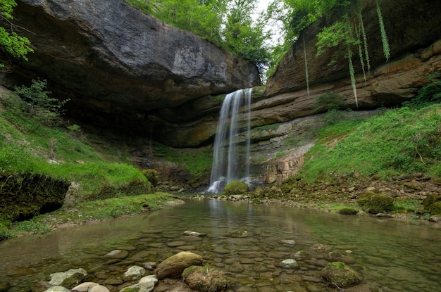 Agua cayendo de las rocas en el bosque