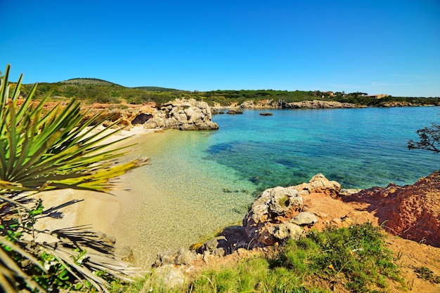 Agua clara en la costa de Alghero Italia