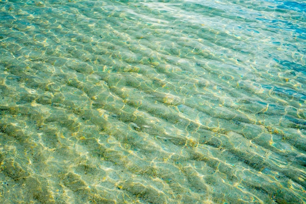 Agua clara en la playa