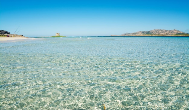 Agua clara en Stintino Cerdeña