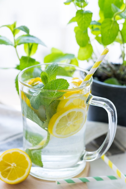 Foto Água com infusão de frutas com citrinos e hortelã frescos