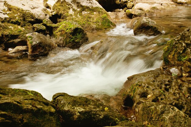 Agua corriente rápida en el río de la montaña