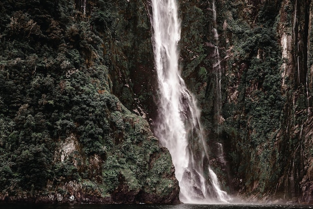 Foto Água da cachoeira correndo para baixo em um pequeno lago tranquilo cercado por árvores e vegetação em tranquilidade