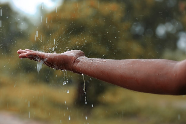 Água da chuva caindo por lado