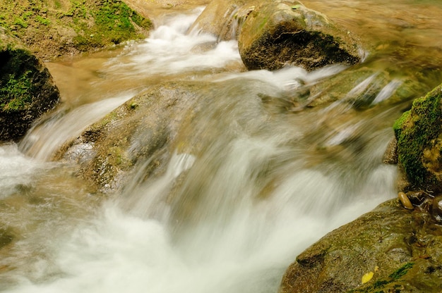 Água de fluxo rápido no rio da montanha