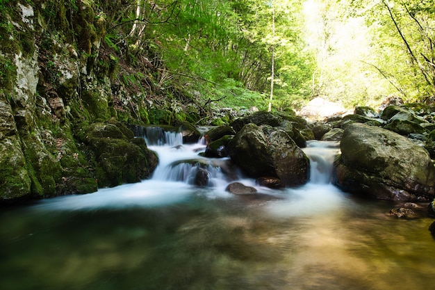 Agua dulce en un pequeño arroyo de montaña