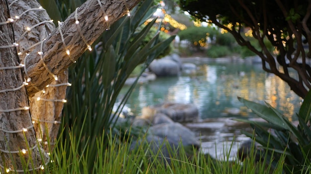 Agua de estanque en luces de guirnaldas de jardín de hadas que brillan intensamente en el bosque mágico de fantasía del árbol