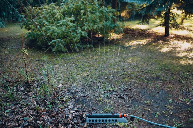 Agua de esterilización de rociadores de césped sobre la hierba verde en el parque jardín. Sistema de riego.