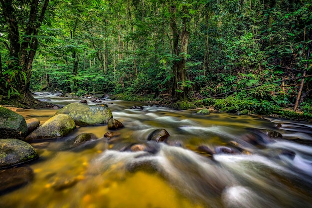 Foto Água fluindo através de rochas na floresta em sg congkak hulu langat selangor malásia