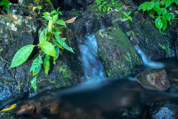 El agua fluye en un río de montaña