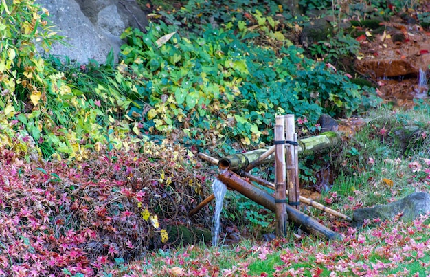 Foto el agua fluye por los tallos de bambú, paisaje otoñal