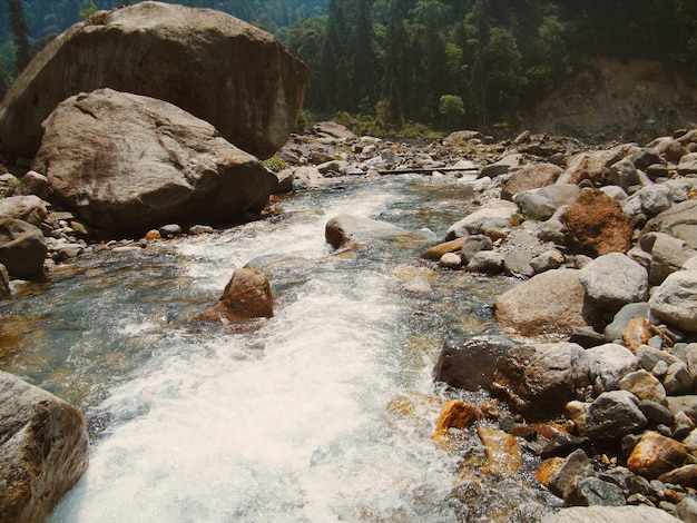 Foto el agua fluye a través de las rocas