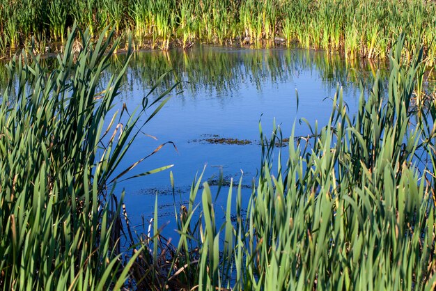 Agua en el lago en un clima ventoso y tranquilo