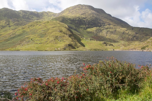 Agua en el lago Lough Fee, Connemara, Irlanda