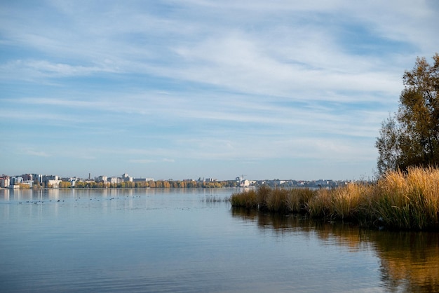 El agua del lago otoñal alberga las hojas amarillas.