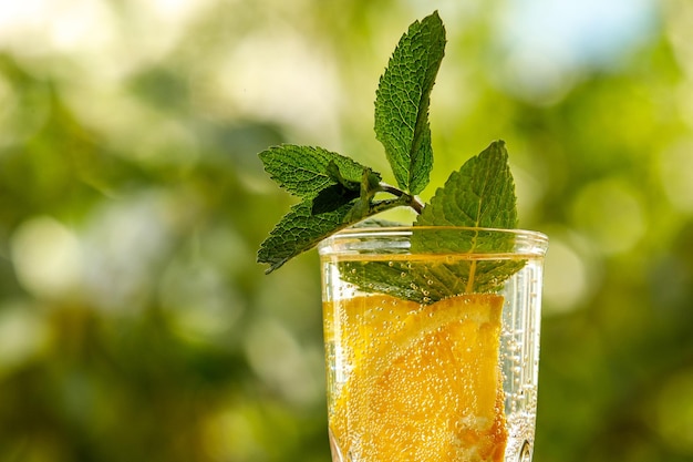 Agua de limón con menta en un vaso Fondo de jardín de verano