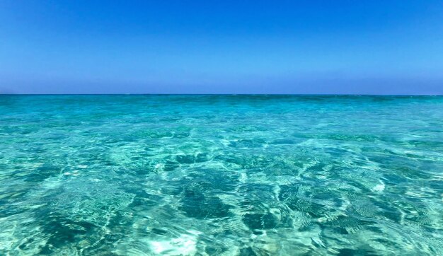 El agua en el mar el resplandor del agua y las olas