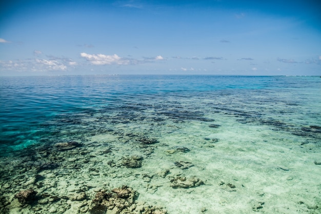 Foto agua de mar tropical en maldivas