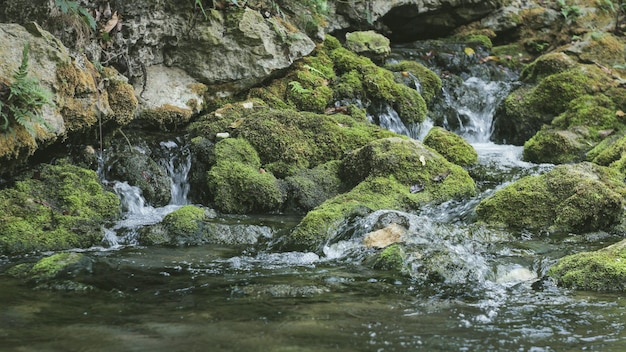 el agua natural de manantial de las montañas